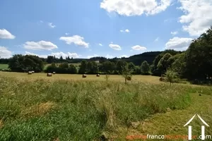 House for sale domps, limousin, Li881 Image - 48