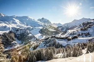 Chalet for sale meribel les allues, rhone-alpes, C4626-CH2 Image - 6