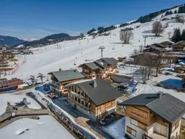 Chalet for sale crest voland, rhone-alpes, C4631 Image - 2