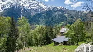 Building land for sale les houches, rhone-alpes, C5298-2 Image - 4