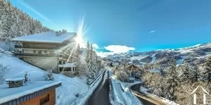 House for sale meribel les allues, rhone-alpes, C6015-B Image - 6