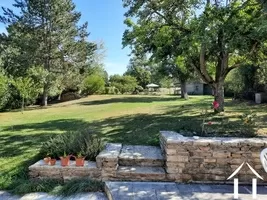 Looking up the rear garden