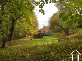 Photographie auromnale du jardin