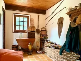 Vestibule and cellar on the ground floor