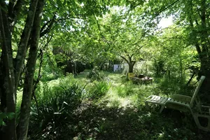 Garden after the river