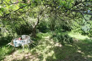 Corner in the shade after the river