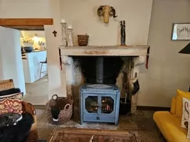 Fireplace with wood stove