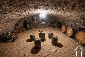 The large wine cellar