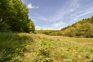 House for sale neuvic entier, limousin, Li777 Image - 39